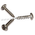 Stainless Steel Self Tapping Screw